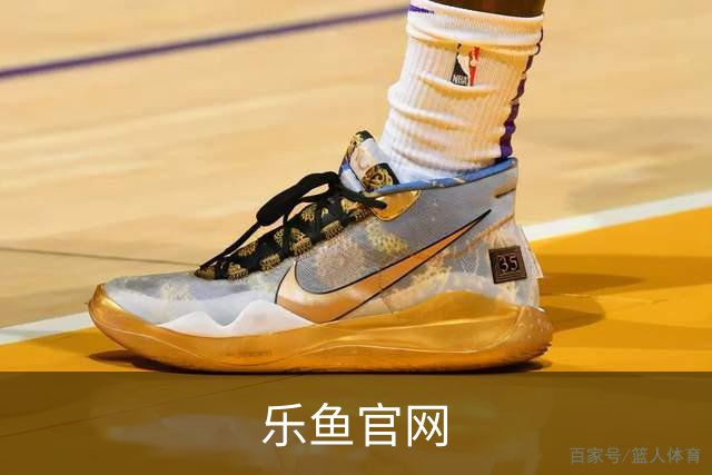 乐鱼官网公司简介配图
